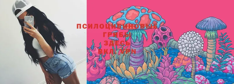 Псилоцибиновые грибы Magic Shrooms  Пошехонье 